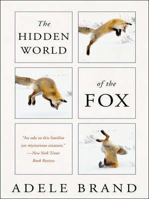 cover image of The Hidden World of the Fox